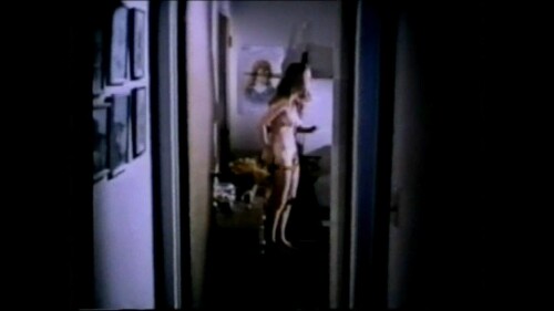 HeatherMenzies-RedWhite-and-Busted-1972-1080p-Upscale-Nudity-Edit-9395-Bitrate.mp4_snapshot_00.45.767.md.jpg