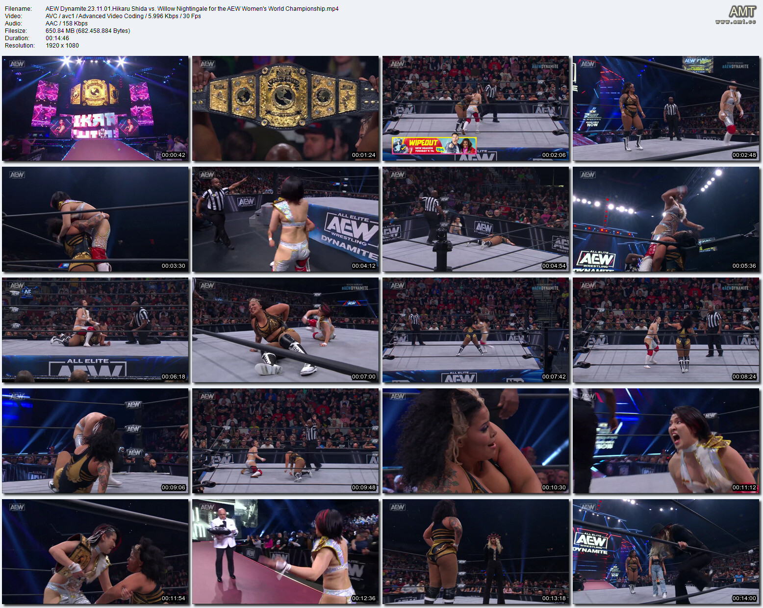 AEW-Dynamite.23.11.01.Hikaru-Shida-vs.-Willow-Nightingale-for-the-AEW-Womens-World-Championship7eddaa9d2db29cf2.jpg