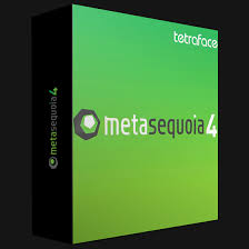 Tetraface Inc Metasequoia 4.8.6e x64